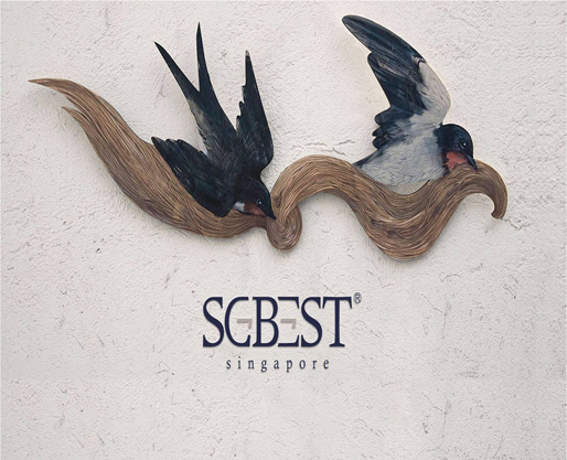 SGBEST燕窝