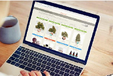 什么样的品牌设计是成功的呢？