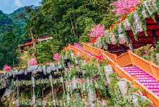 酒店品牌策划是提高竞争力的关键环节，可以吸引更多顾客的关注和选择