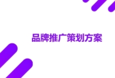 如何进行有效的品牌策划吸引消费者，提高市场份额？