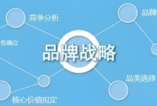 品牌战略规划的重要性、核心要素以及实施步骤，为企业提供有益的指导